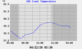 105 Crawl Temperature